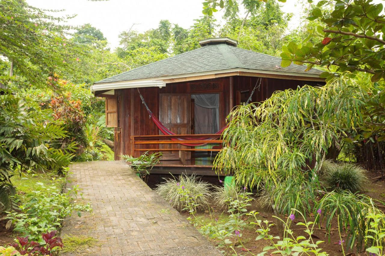 Bungalows Ache Cahuita Exteriér fotografie