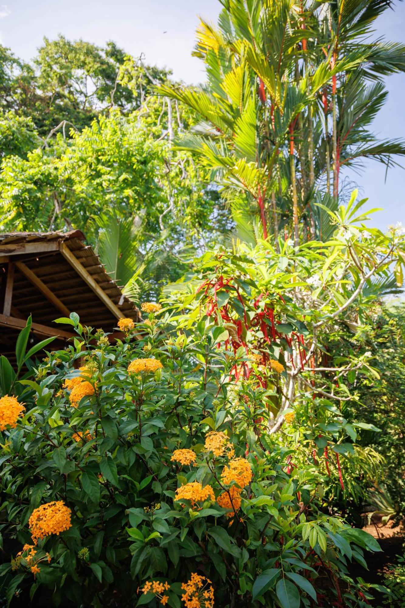 Bungalows Ache Cahuita Exteriér fotografie